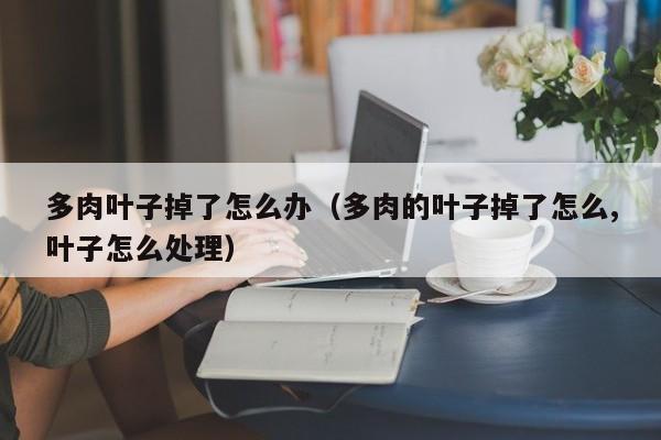 多肉叶子掉了怎么办（多肉的叶子掉了怎么,叶子怎么处理） 